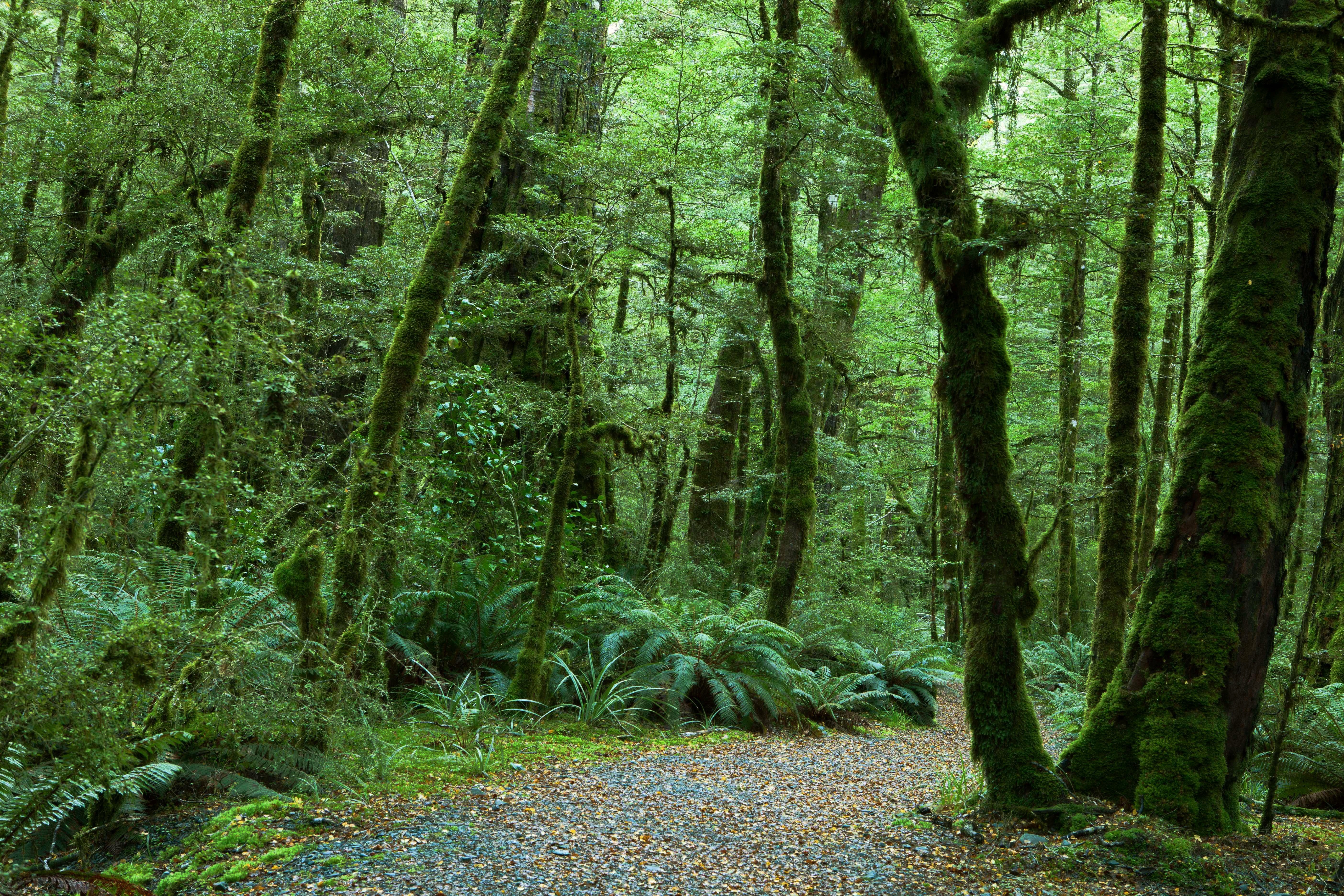 Shutterstock 222219406